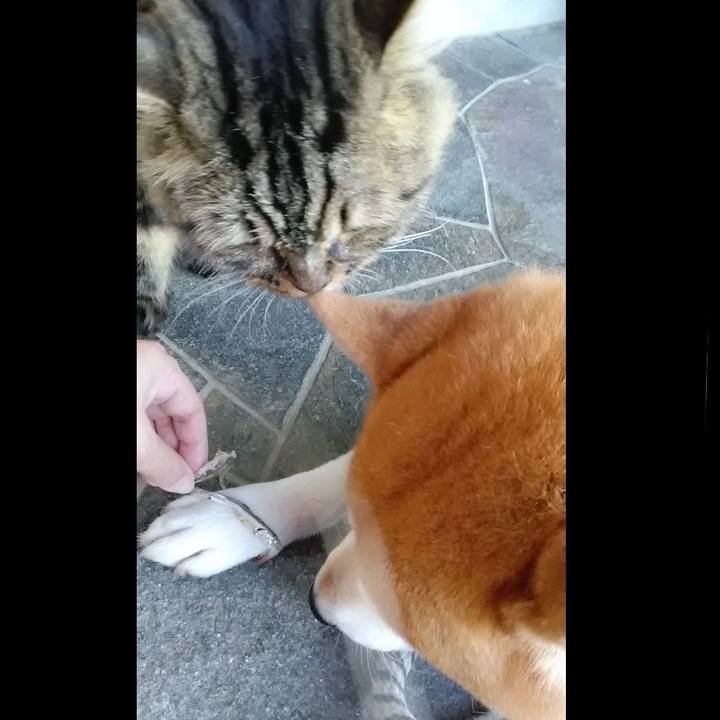 0872efcb 91b8 4560 834c 946439ee1477 1633823667236