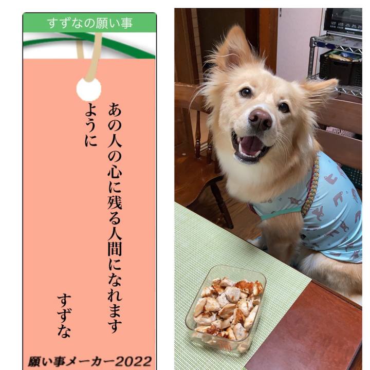 08732ed4 e690 48e5 8c59 6ef99967e569 1657183468607