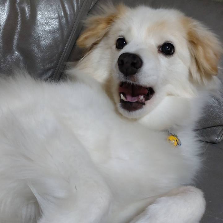 08733c73 2562 4a89 b82d 3a780e77a9d5 1656245721258