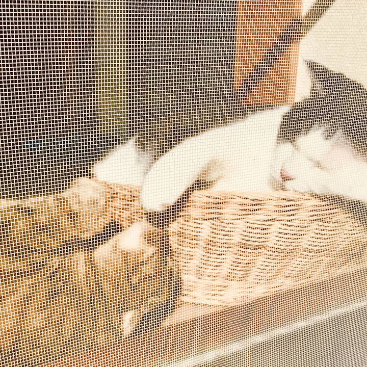 08738a19 d688 4e62 b1fa 0147f956fff5 1573271327394