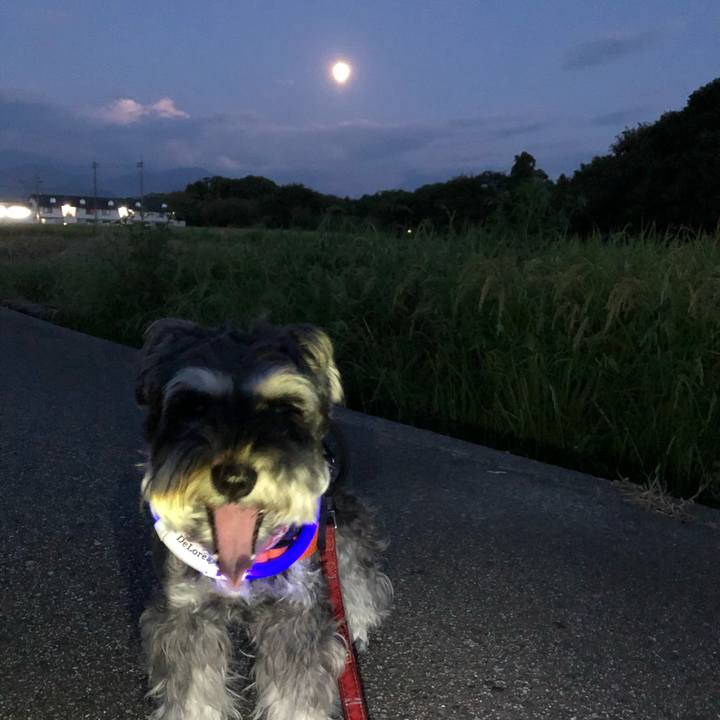 087394d0 c24f 4cc1 a573 374ff2ebe36d 1693318733757