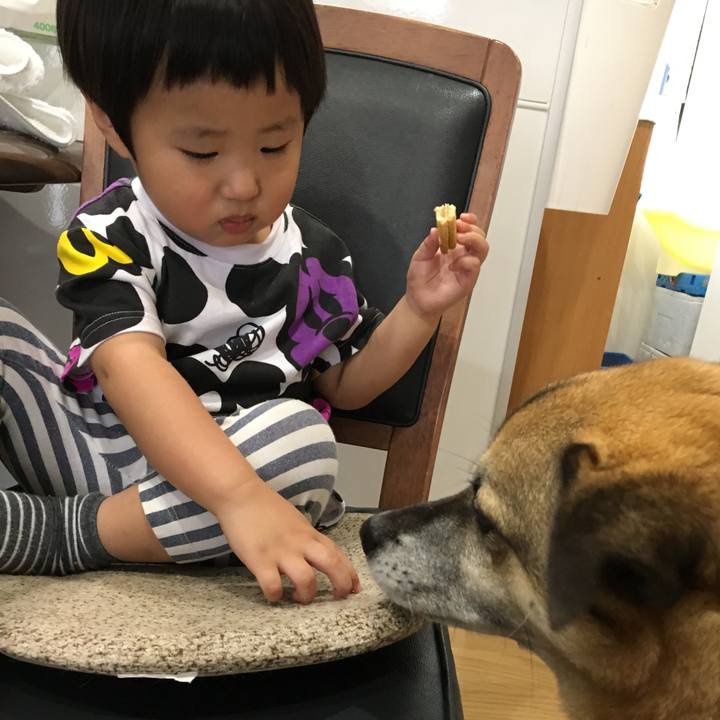 0873ae5a 7ea6 4fda 9252 2ca62b46f7a5 1527400339830