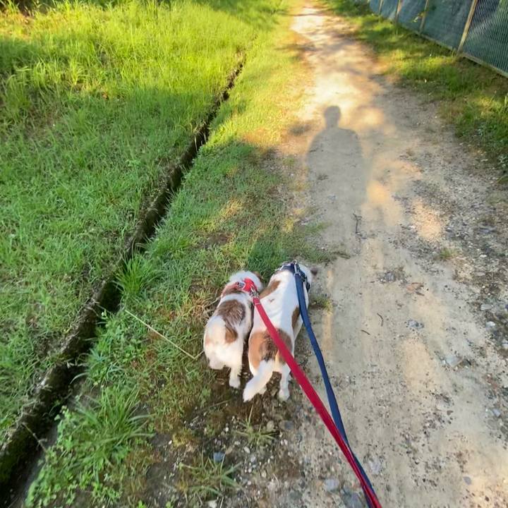 08740b3d 38ce 408a 8fca e6b3b25ec6b1 1657149035512