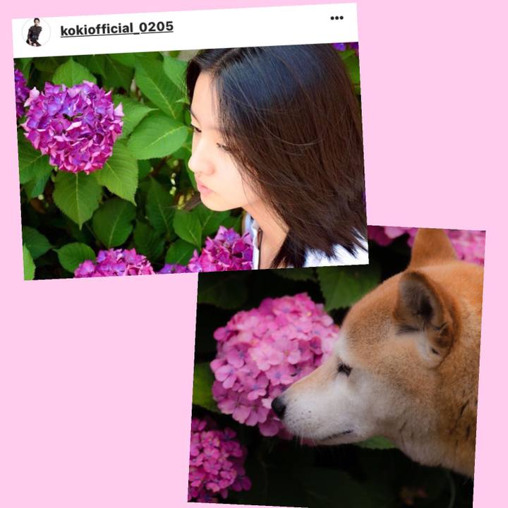 08741d7c ee97 4f24 b175 9ed4415eb8a8 1529124779676