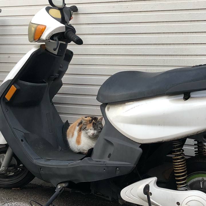 087428a5 d665 4160 9194 f89c03308d7c 1550220487699