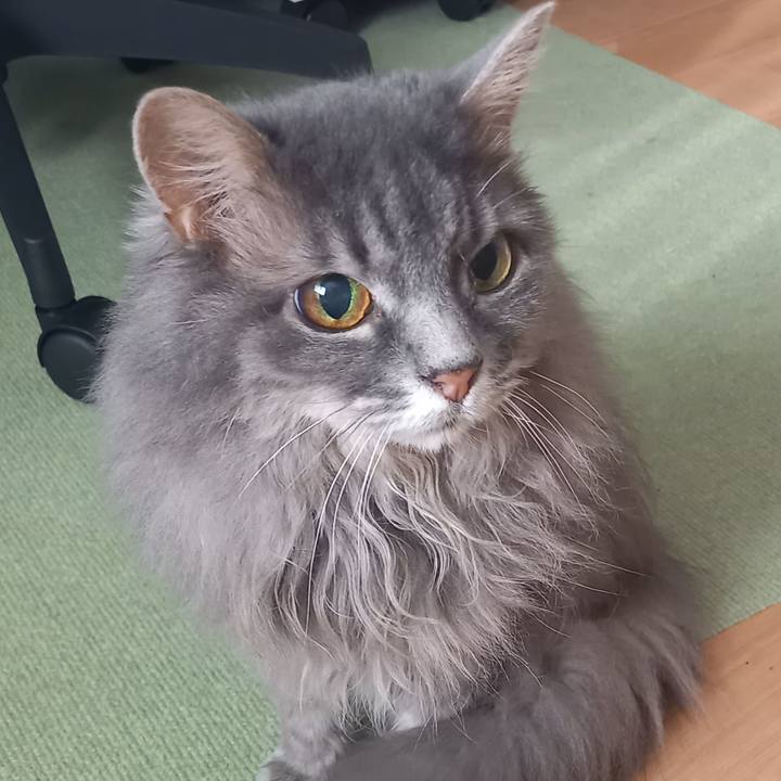 08745534 665a 4c0f 9002 12c1b55c27f0 1725747968401