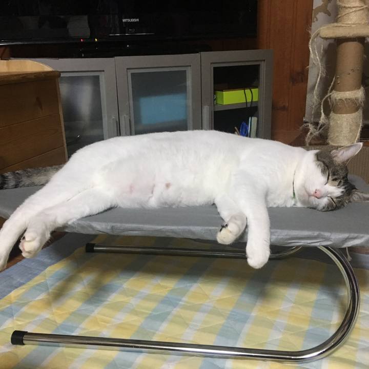 0874920b 4613 4066 9882 6c4a47635d5c 1535644411829