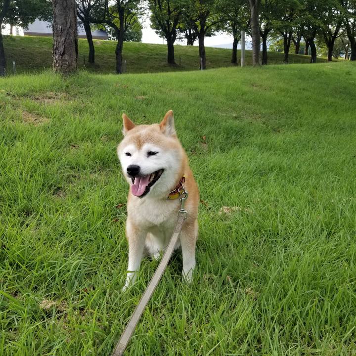 0874a08e 4e7f 4fac 827e dbf78513acd1 1691224502690