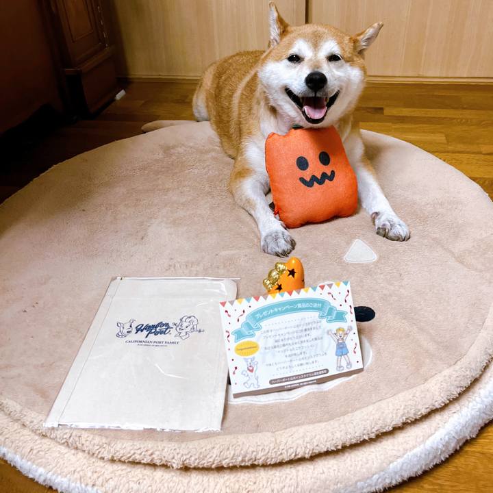 0874d0be 5f6d 4f83 9a0c 9a248466d459 1663403698199