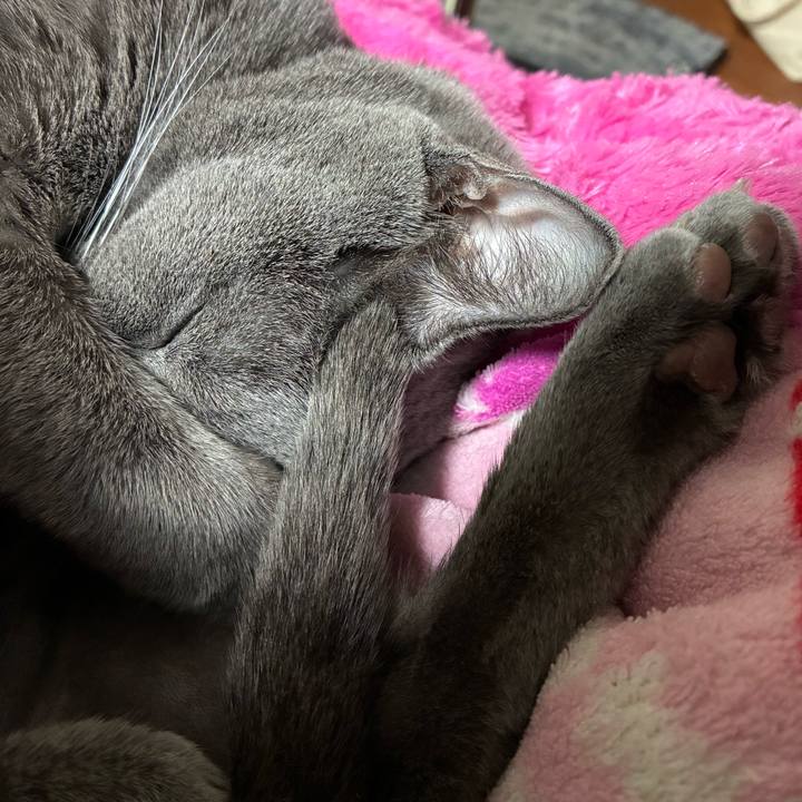 08750035 68b1 4ce1 8b4d 1badc655838e 1770446308184