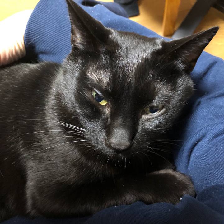 08751b24 3d1d 4c14 ba91 fe8bcac70b8b 1709551331997