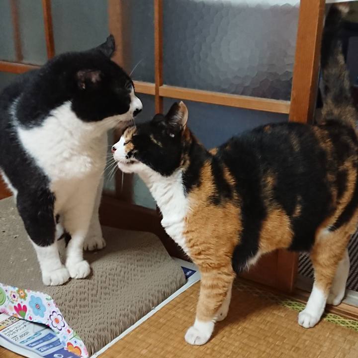 08752590 9235 4dd4 873a 7d75785f7309 1663730072150