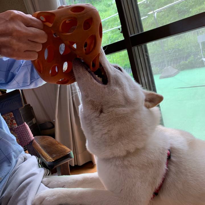 0875288a a51a 4dd4 a974 7383a35dbdaf 1568535804220