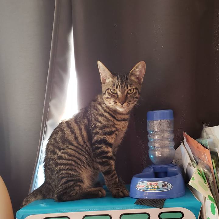 08755490 4906 40ab a3ca 155a56d209d5 1542167117842