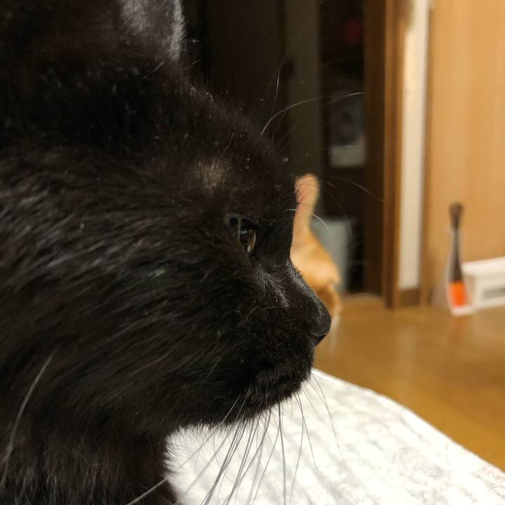 087559c0 344e 47d8 be2c 1b0e2693b999 1630417688951