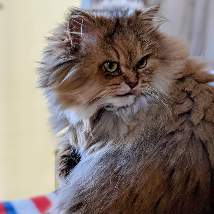 08756015 9b90 40fe ad64 cc7ca0ecfd06 1638263099600