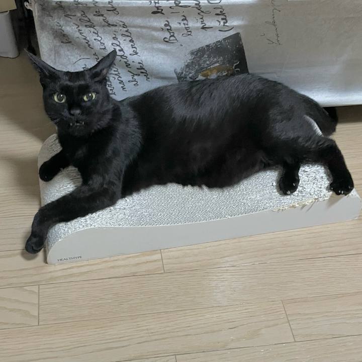 087563ca af02 47b1 91d2 206dad37f7d7 1687427620477