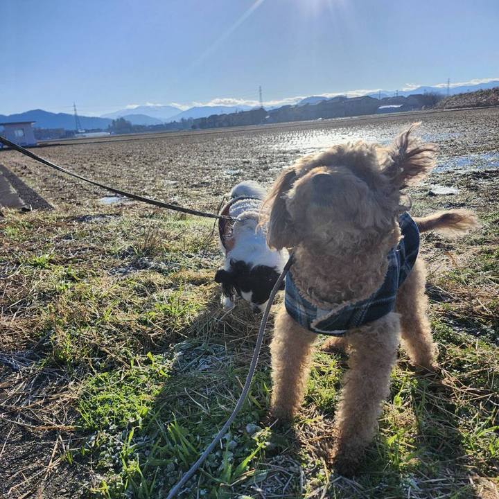 0875ba2f ffbc 47ff b7cd ac3070f82202 1773184988279