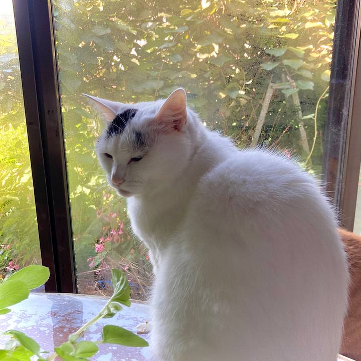 0875be25 5f6c 4b10 96da f5563566dce5 1631672813488