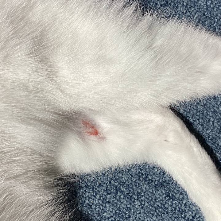 0875cfa2 42ab 497c 87cc 3f4056033428 1681813998744