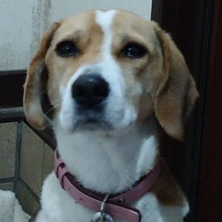 0875e972 a375 4e8d ab54 c10a13ae0de8 1577362208082