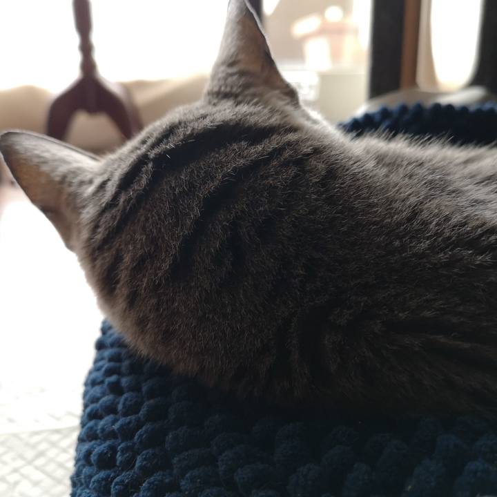 08764b93 3645 45cf 8b0e a151f3d39a73 1684025375622