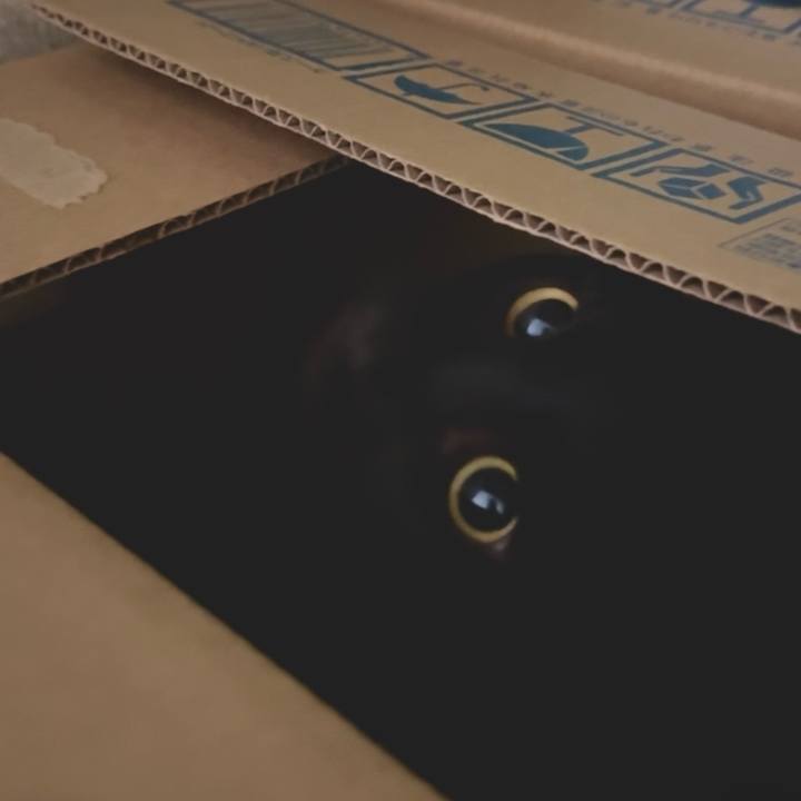 08767a0f 6605 4fbe bd65 e271fe58fe6b 1745416612630