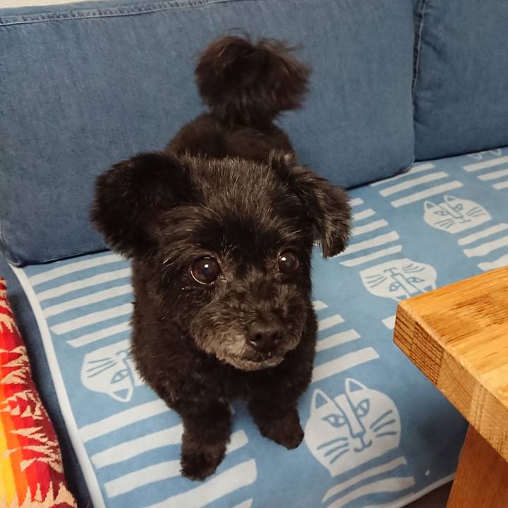 08767d2b 11aa 42c6 bce3 4b5016a50152 1557741809299