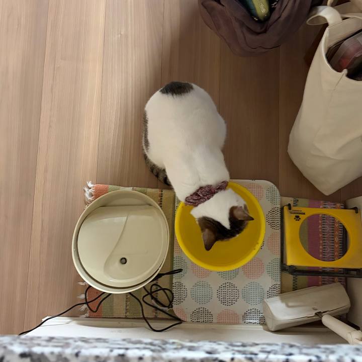 08768180 334a 4a85 84e2 823973d0fc55 1775358535714