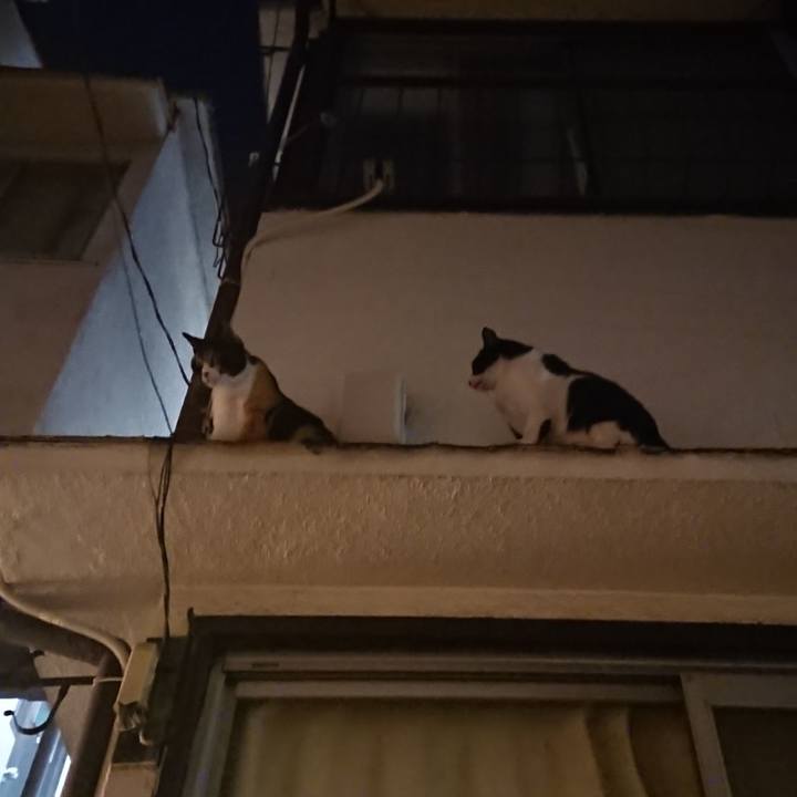 08768424 8412 46c8 a973 182f4fd182b3 1536487994855