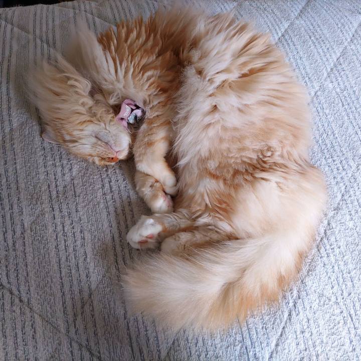 087695f8 5a37 4d5a 9a47 42aacccfa20e 1718870122463