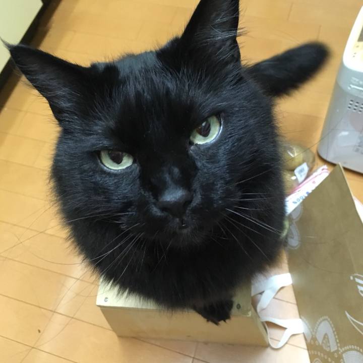 0876ab2f 49e3 4425 a183 be32080b5704 1529503648299