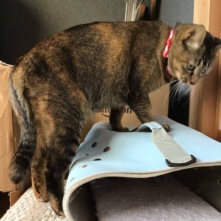 0876bd39 ee31 4f22 bc36 b9e71c536f8a 1604646337440