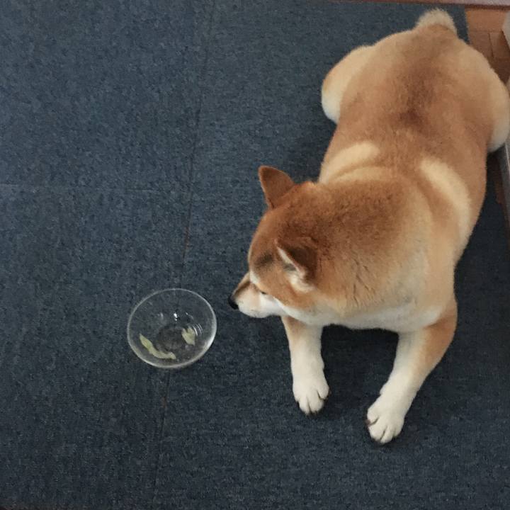 0876fc28 b571 42cf af39 b4f1e044950f 1574553915225