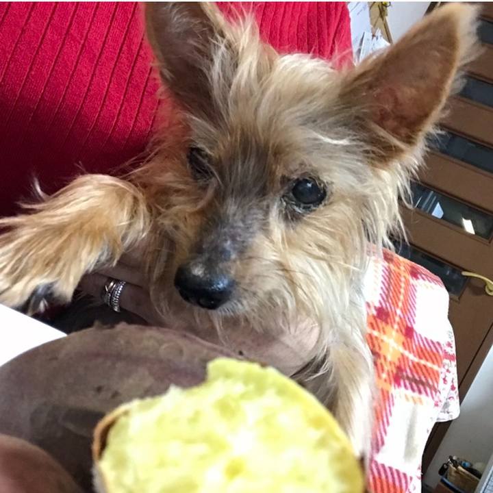 0877254e 4d7b 481e bfac 545f7521817a 1665371460606