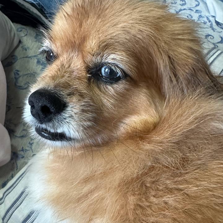 087725d5 4dca 4d65 8496 eba93f39b81b 1718929627121