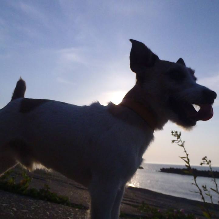 08774cbb 3ba1 46b6 aafb ee61b164cfe6 1528540085554