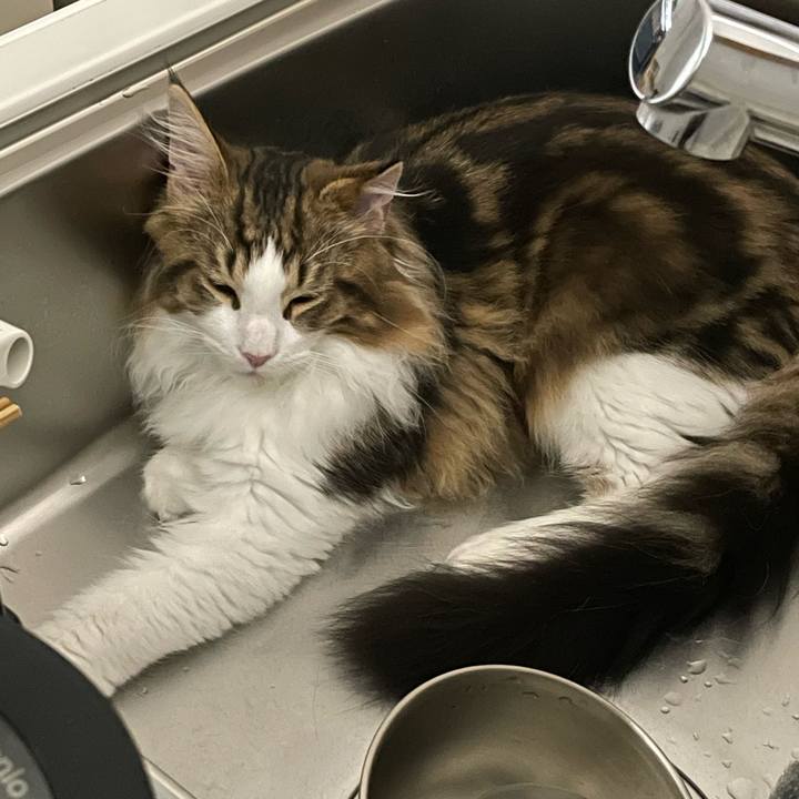 08776ea6 9ee4 4a0c a54f 5bd7c09c339d 1640008408520