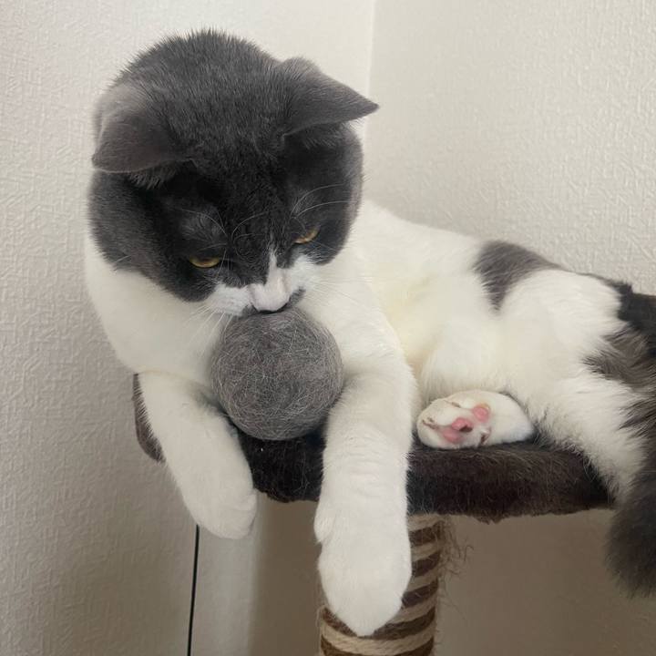 0877bbce 883a 4cac aed2 b6498ee194f4 1691896584859