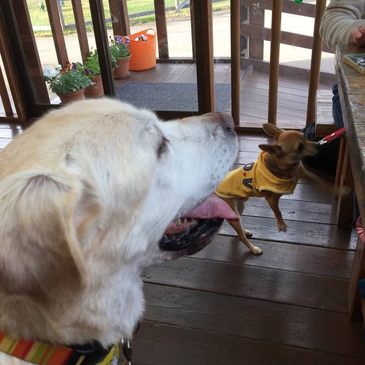 0877edbf fa08 4ebb a8a5 c8db2291a69f 1543082943304