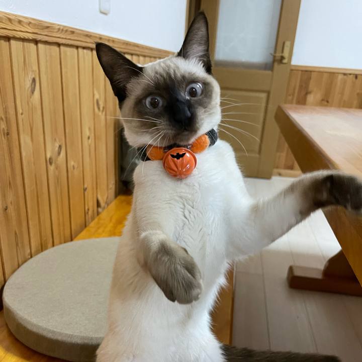 0877f927 144e 410d 948e ab8fed4335b7 1698262679127