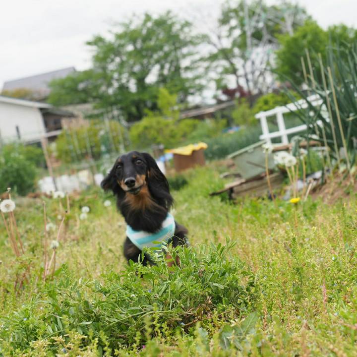 08783b20 0692 43e3 9f26 e36db740ba9f 1557560929846