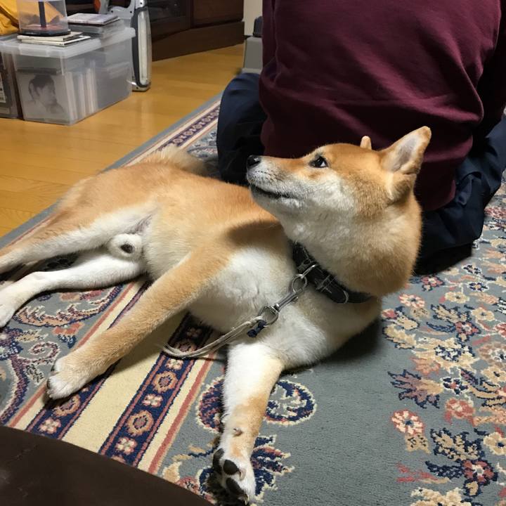 08785238 50fe 423e ad7b 1436ebaa10cb 1526178249276