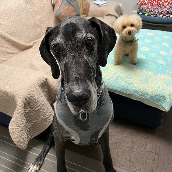 08786c85 4a66 40fa af40 d31dd39cf048 1620860731690