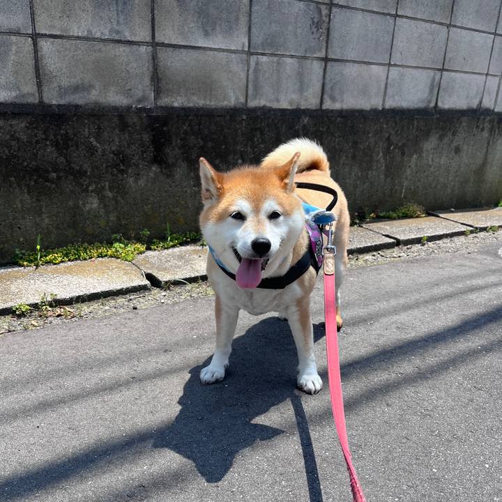 08787e1f 6217 4558 bdfc 119ac9f049ee 1719459073357