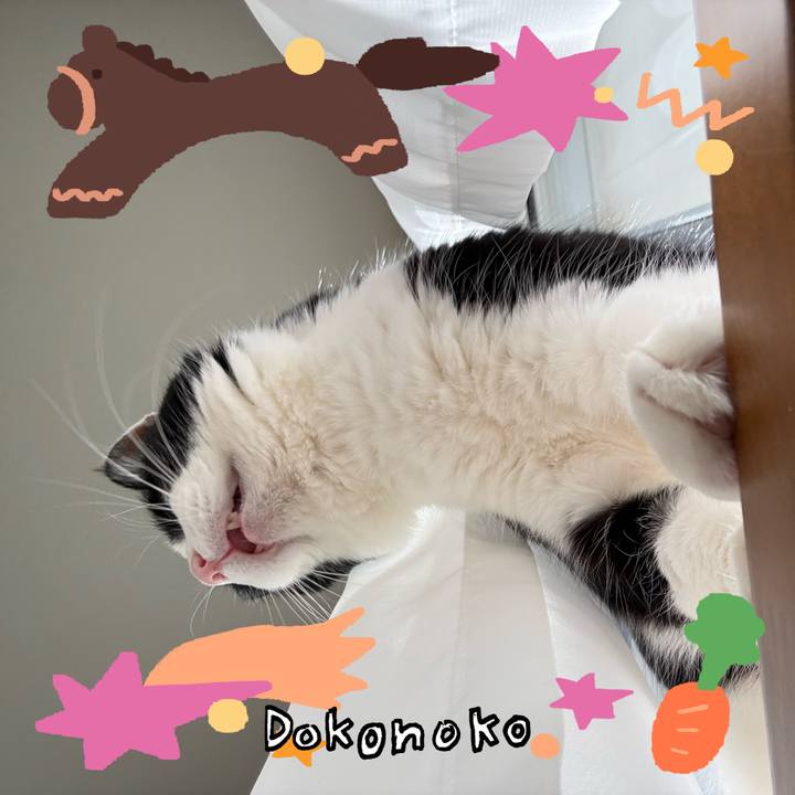 0878b22b 9eb4 4950 9ae1 711461ada39b 1772270756132