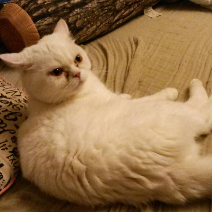 0878b7c9 2e70 493d 9b28 bf6d6e96a97c 1531919592652