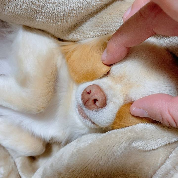 0878ee83 d1a2 4ef5 b613 5df1796d8214 1612431594976