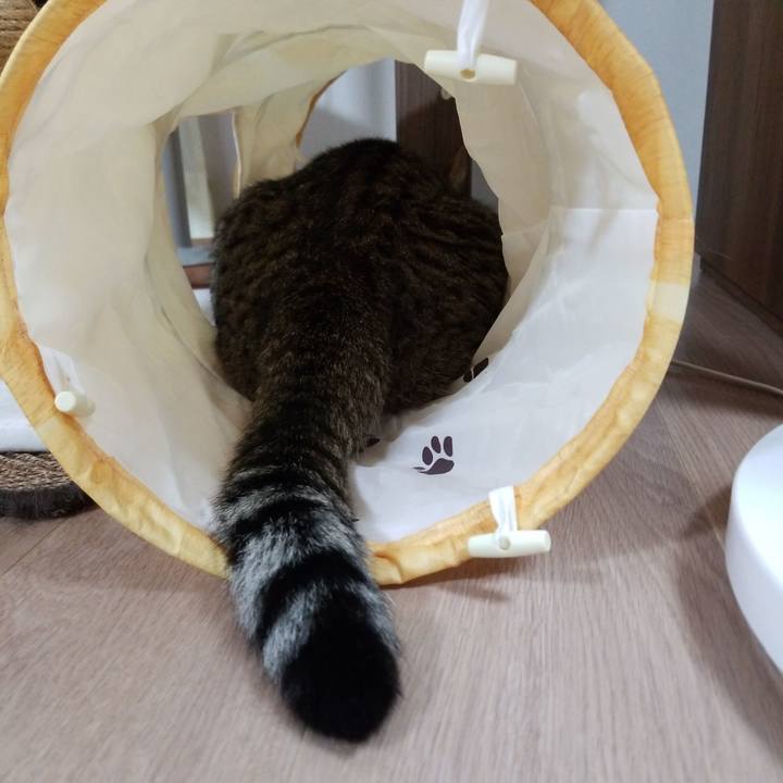 087904f9 fea3 4929 93b9 50cce885ba10 1592828511673