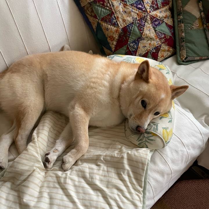 08794217 cc81 4ac5 be1d f4a627adeeed 1687219025960